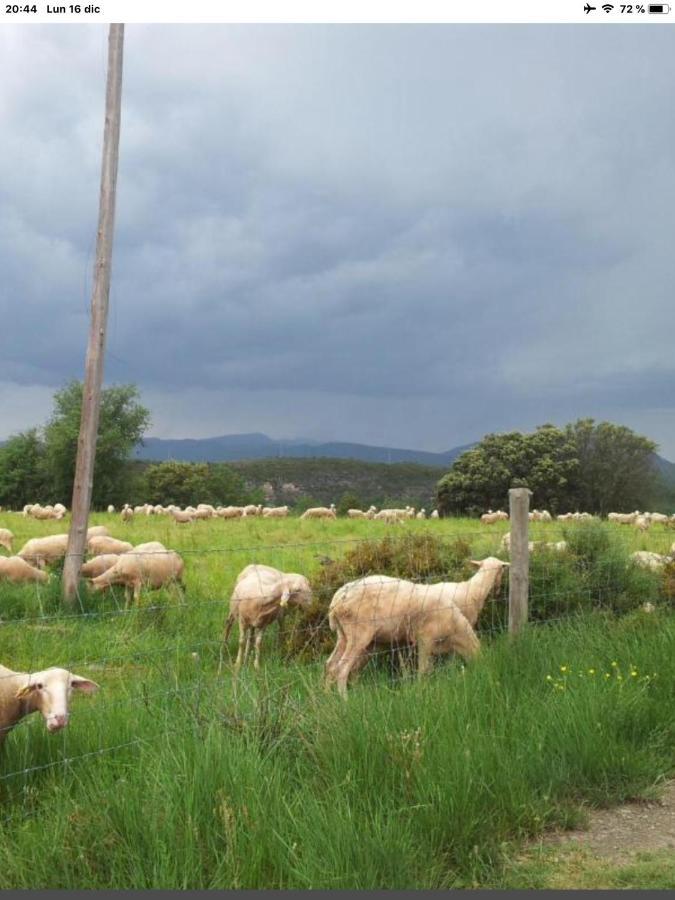 Vistas A La Montana En Un Pueblo Con Encanto. El Pueyo de Araguas Exterior photo