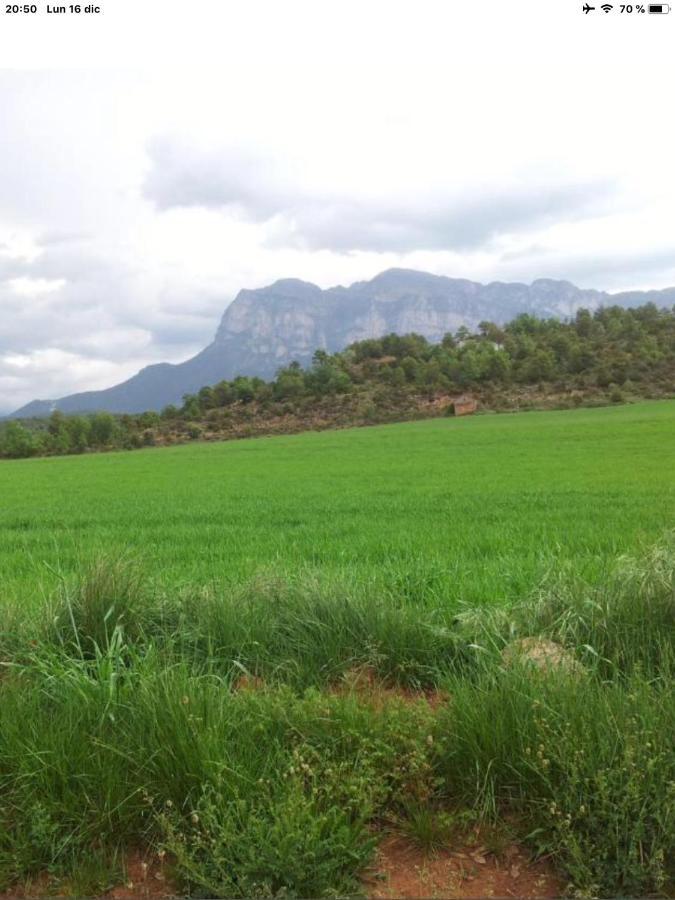 Vistas A La Montana En Un Pueblo Con Encanto. El Pueyo de Araguas Exterior photo