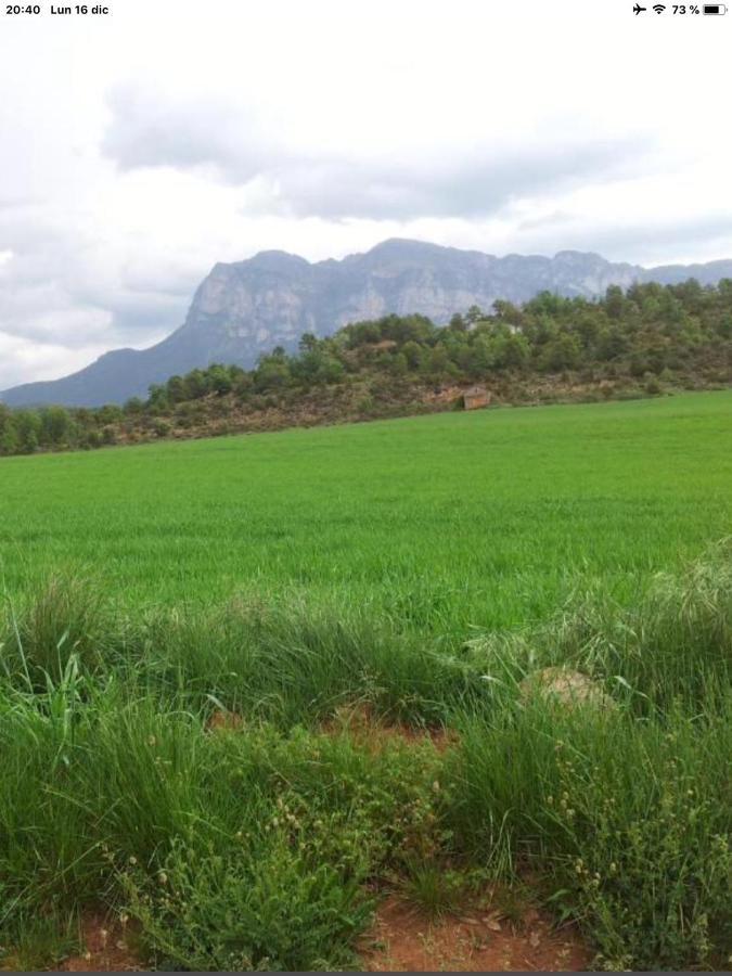 Vistas A La Montana En Un Pueblo Con Encanto. El Pueyo de Araguas Exterior photo